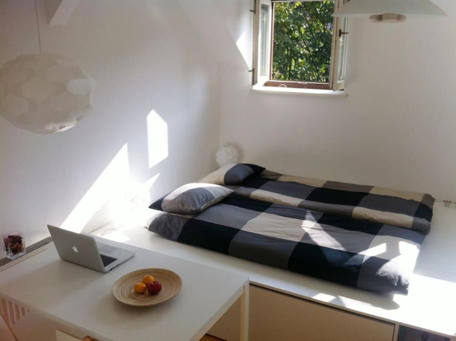 The Cute, Sunny Apartment In The Center +P 류블랴나 외부 사진