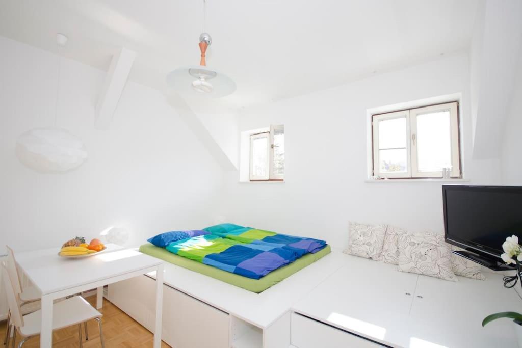 The Cute, Sunny Apartment In The Center +P 류블랴나 외부 사진