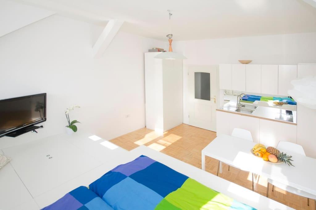 The Cute, Sunny Apartment In The Center +P 류블랴나 외부 사진