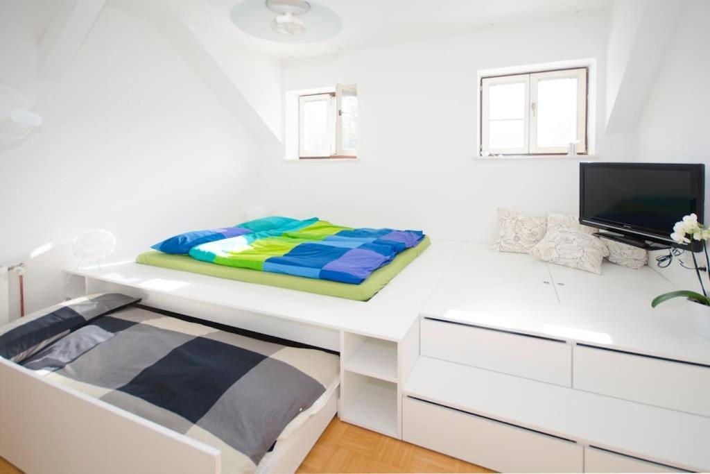 The Cute, Sunny Apartment In The Center +P 류블랴나 외부 사진